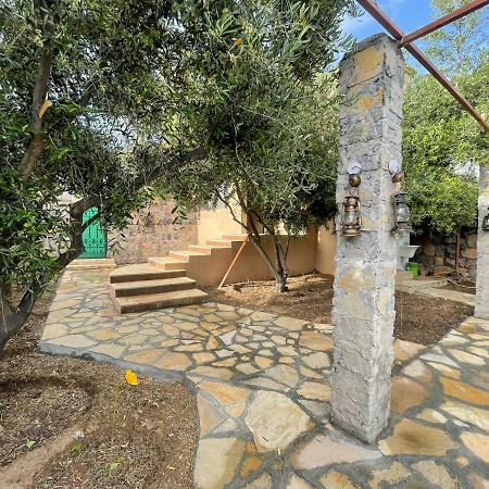 Rose Guesthouse Al 'Aqar Bagian luar foto